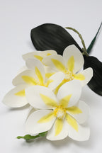 Vanilla Flower-White Yellow - Single 4 Roses