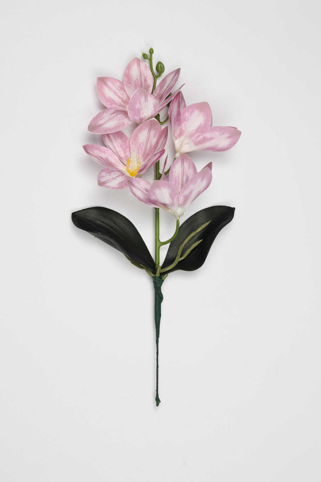Vanilla Flower-White Purple - Single 4 Roses