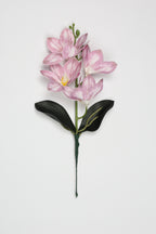 Vanilla Flower-White Purple - Single 4 Roses