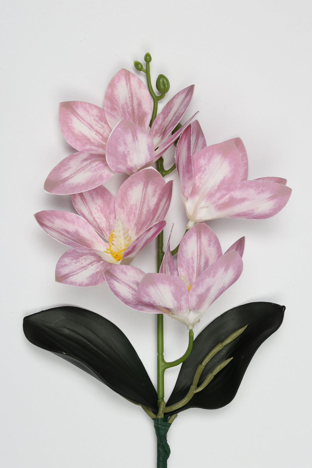 Vanilla Flower-White Purple - Single 4 Roses
