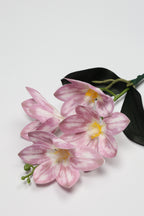 Vanilla Flower-White Purple - Single 4 Roses