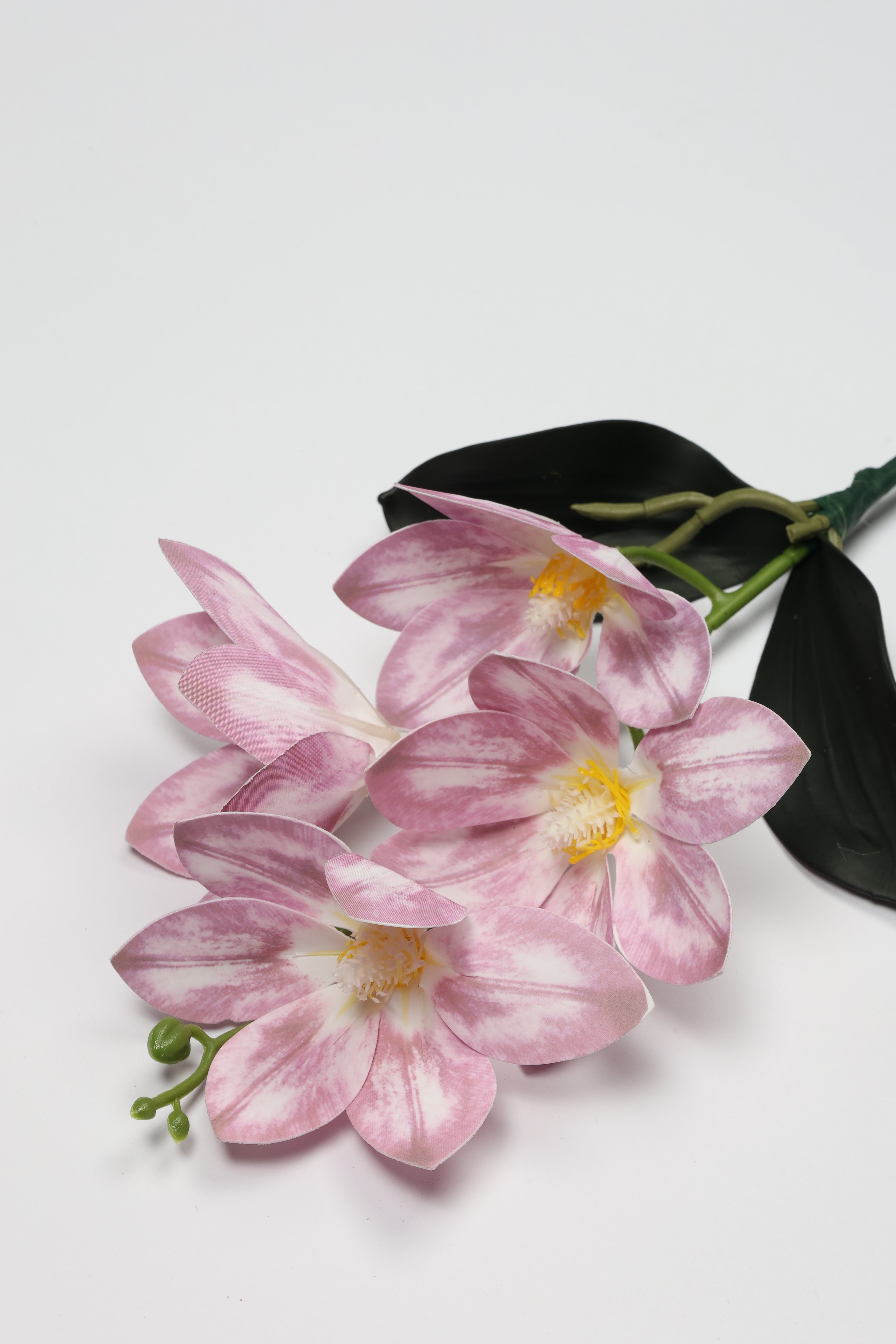 Vanilla Flower-White Purple - Single 4 Roses