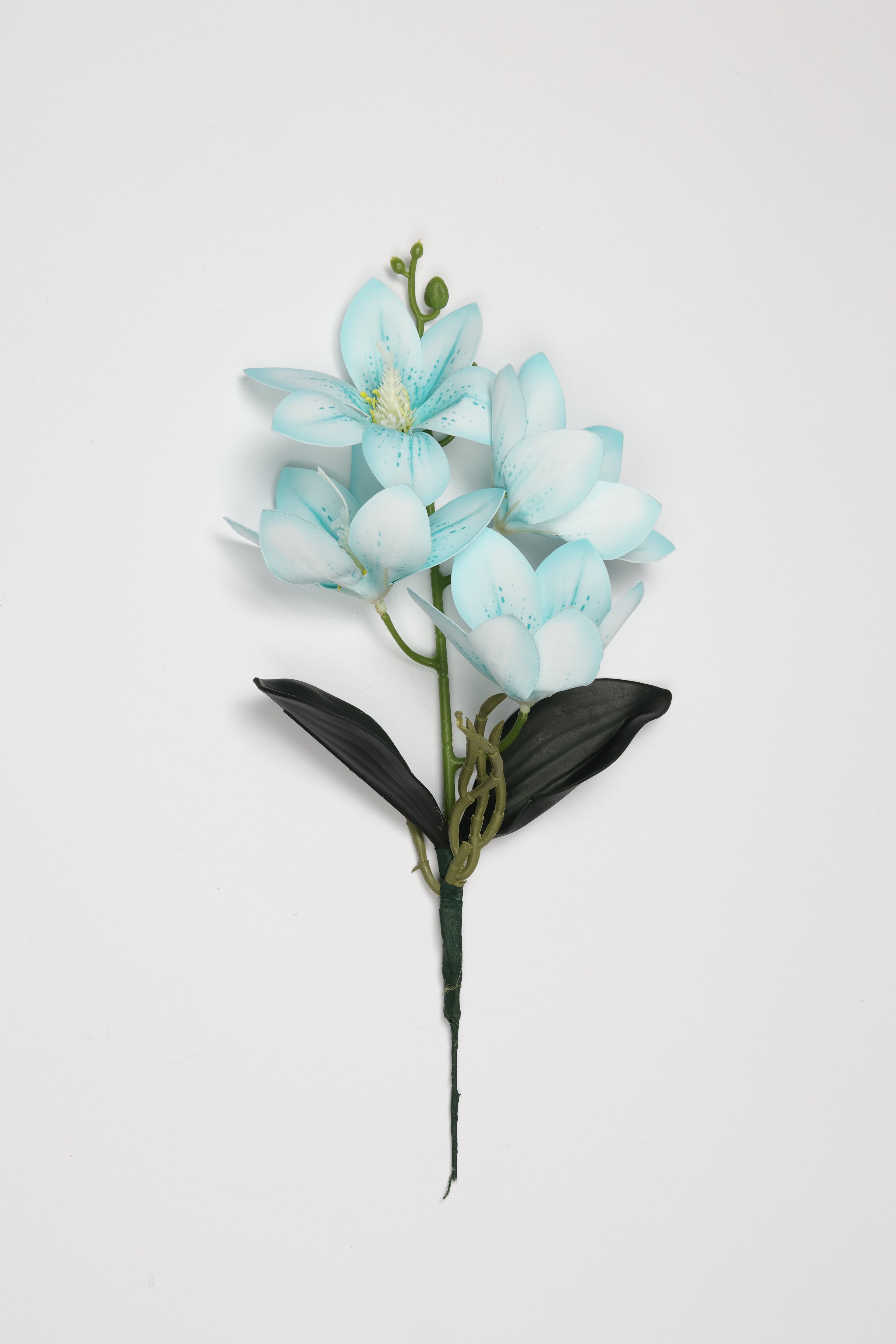 Vanilla Flower -Baby Blue - Single 4 Roses
