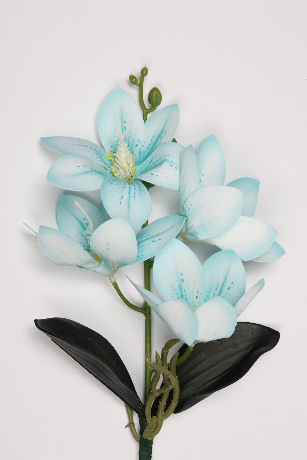 Vanilla Flower -Baby Blue - Single 4 Roses