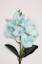 Vanilla Flower -Baby Blue - Single 4 Roses