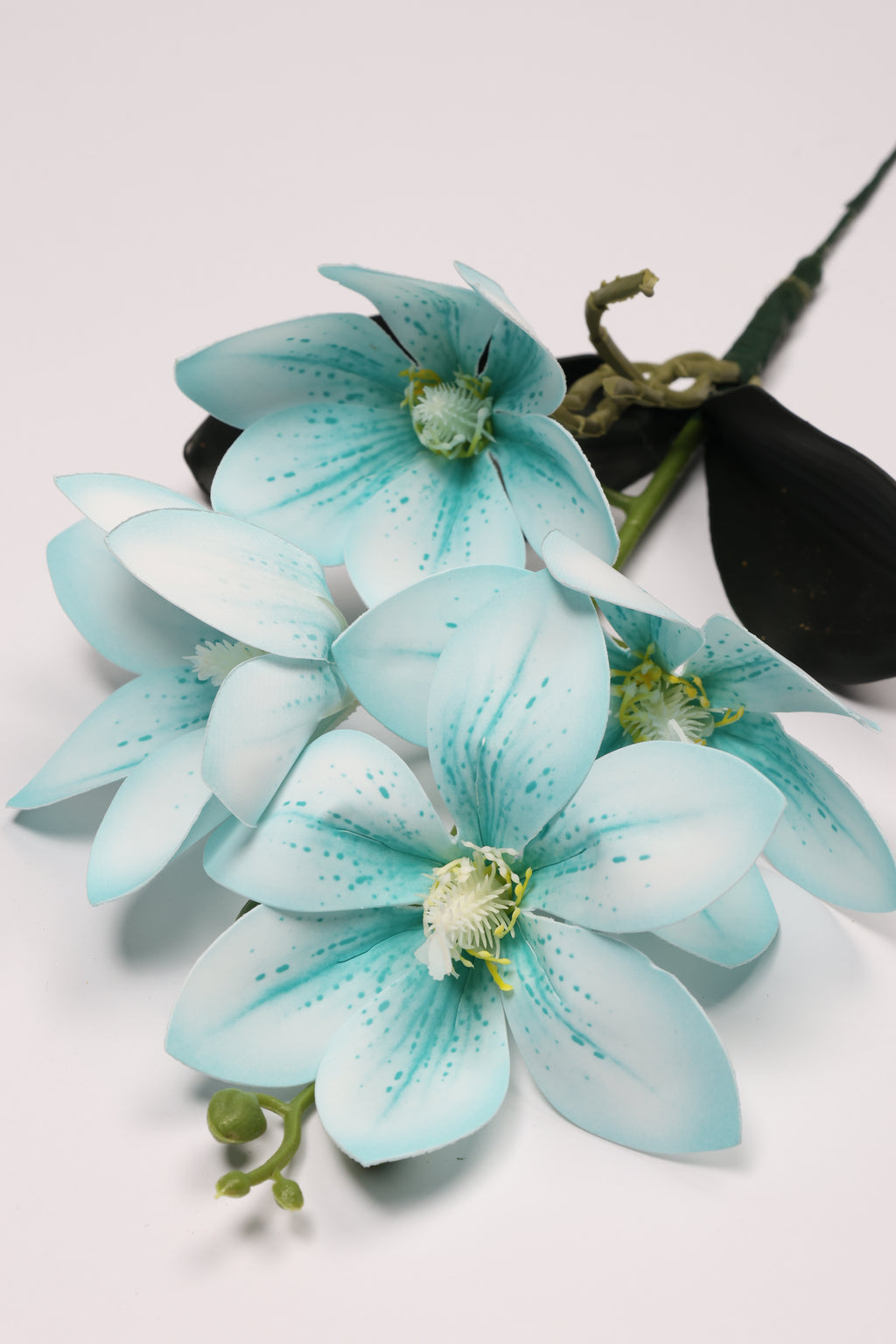 Vanilla Flower -Baby Blue - Single 4 Roses