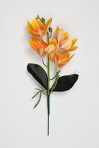 Vanilla Flower-Orange - Single 4 Roses