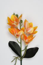 Vanilla Flower-Orange - Single 4 Roses