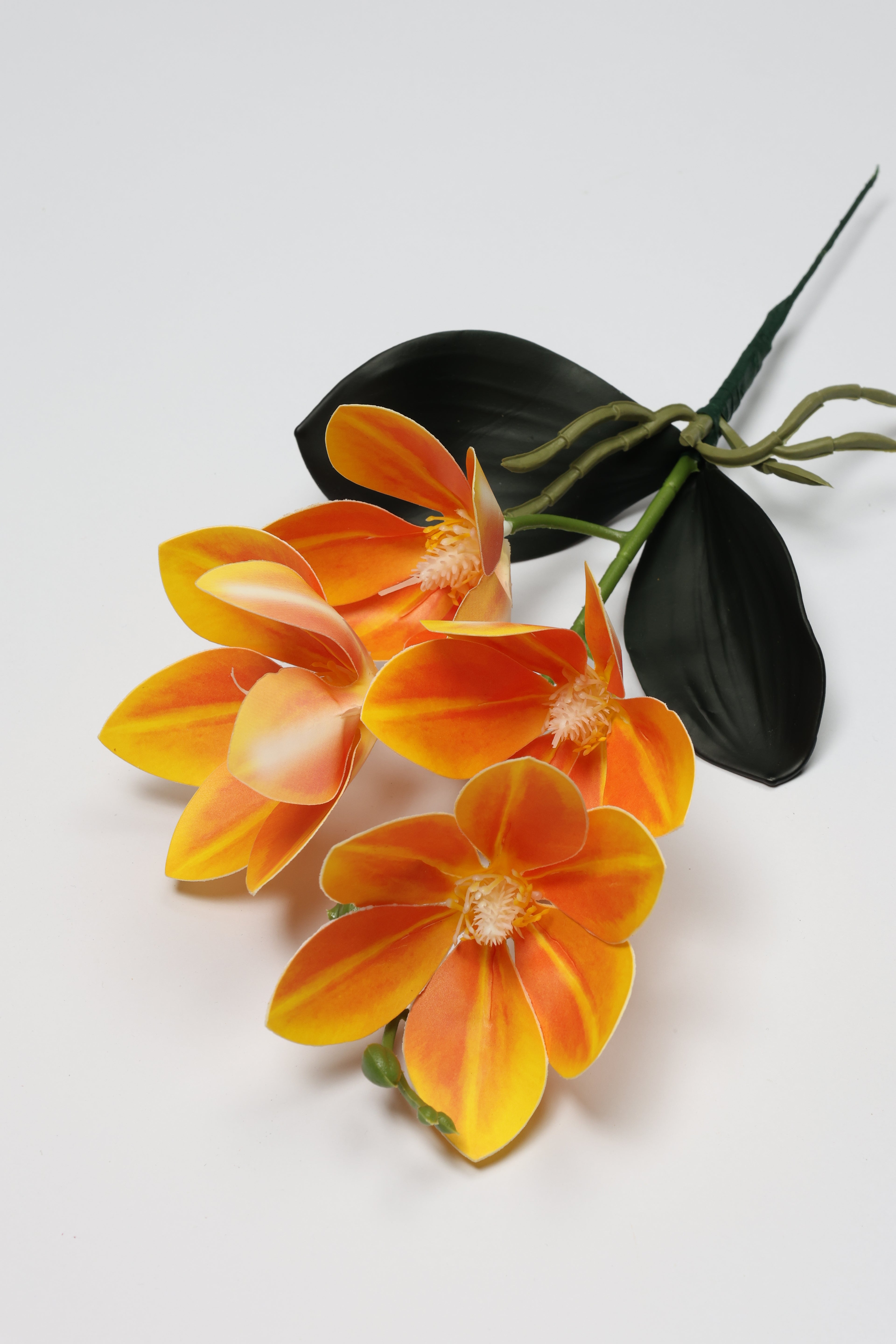 Vanilla Flower-Orange - Single 4 Roses