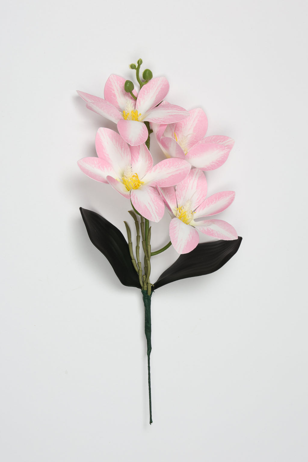 Vanilla Flower- White Pink - Single 4 Roses