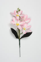 Vanilla Flower- White Pink - Single 4 Roses