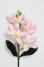 Vanilla Flower- White Pink - Single 4 Roses