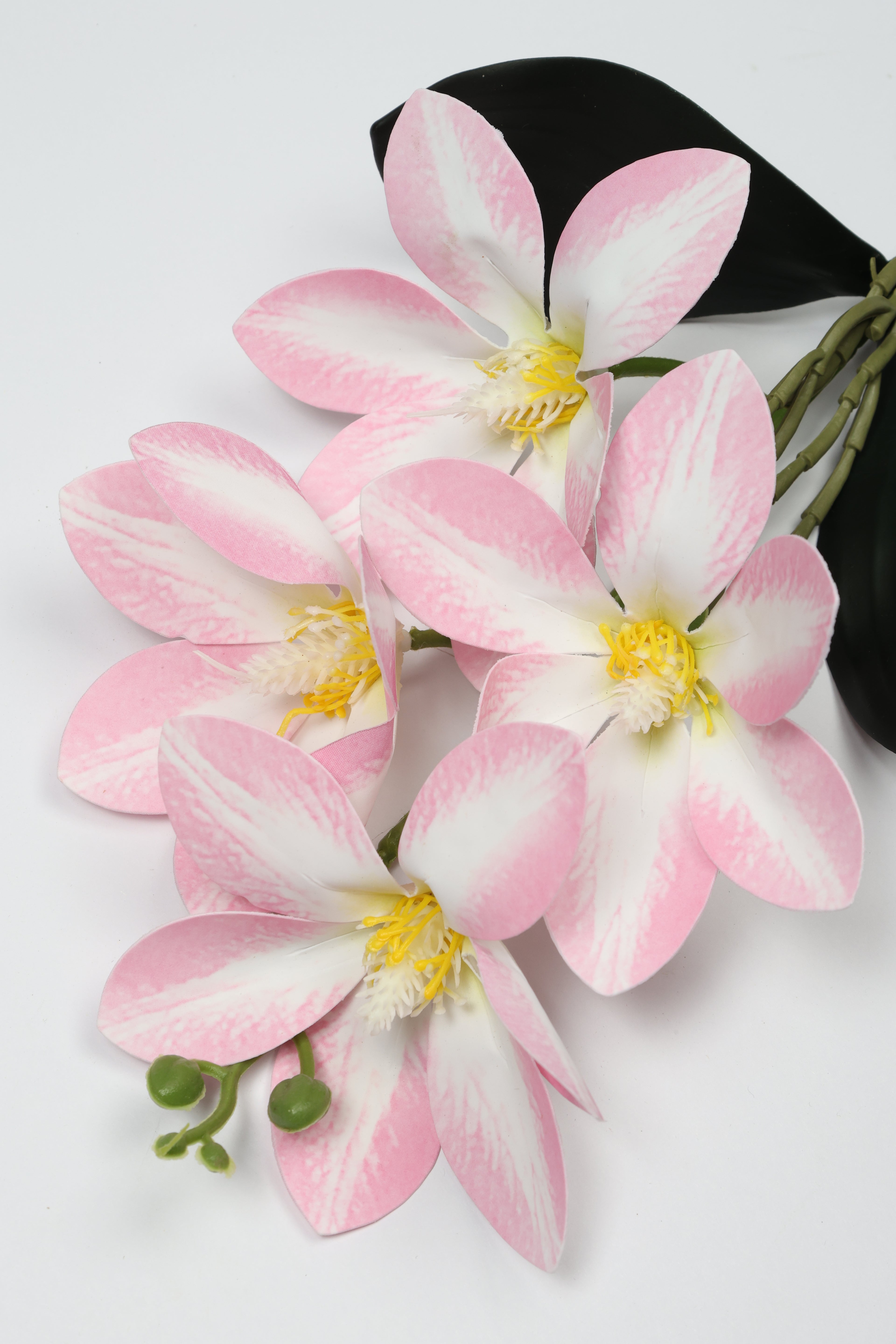 Vanilla Flower- White Pink - Single 4 Roses