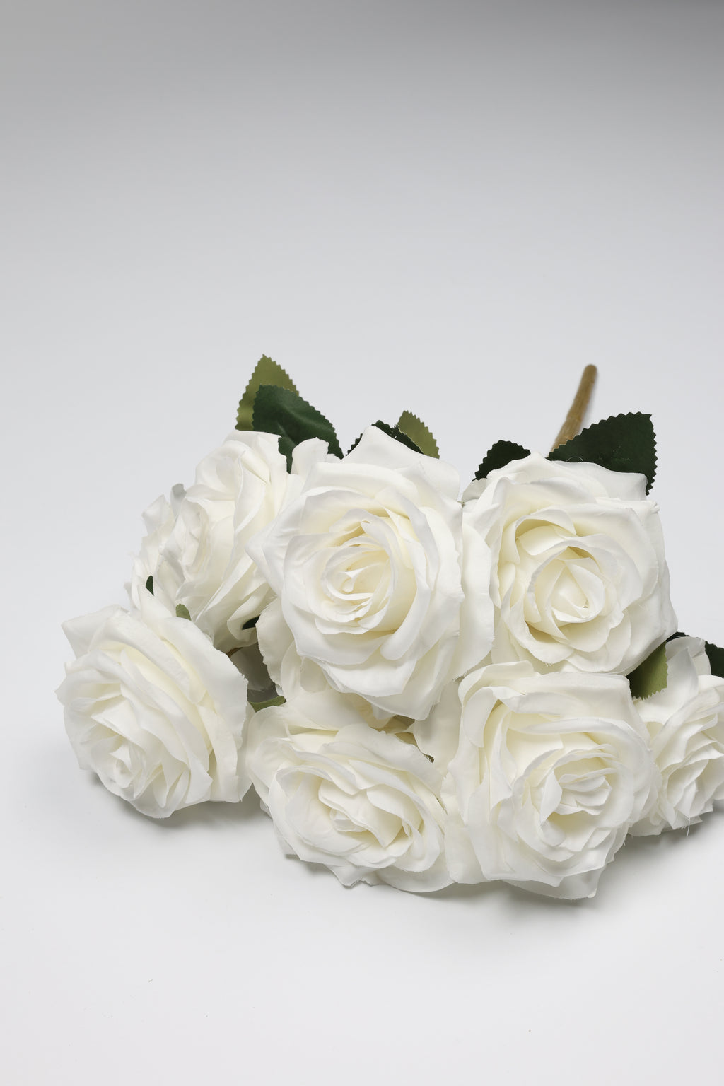 Roses White Coll