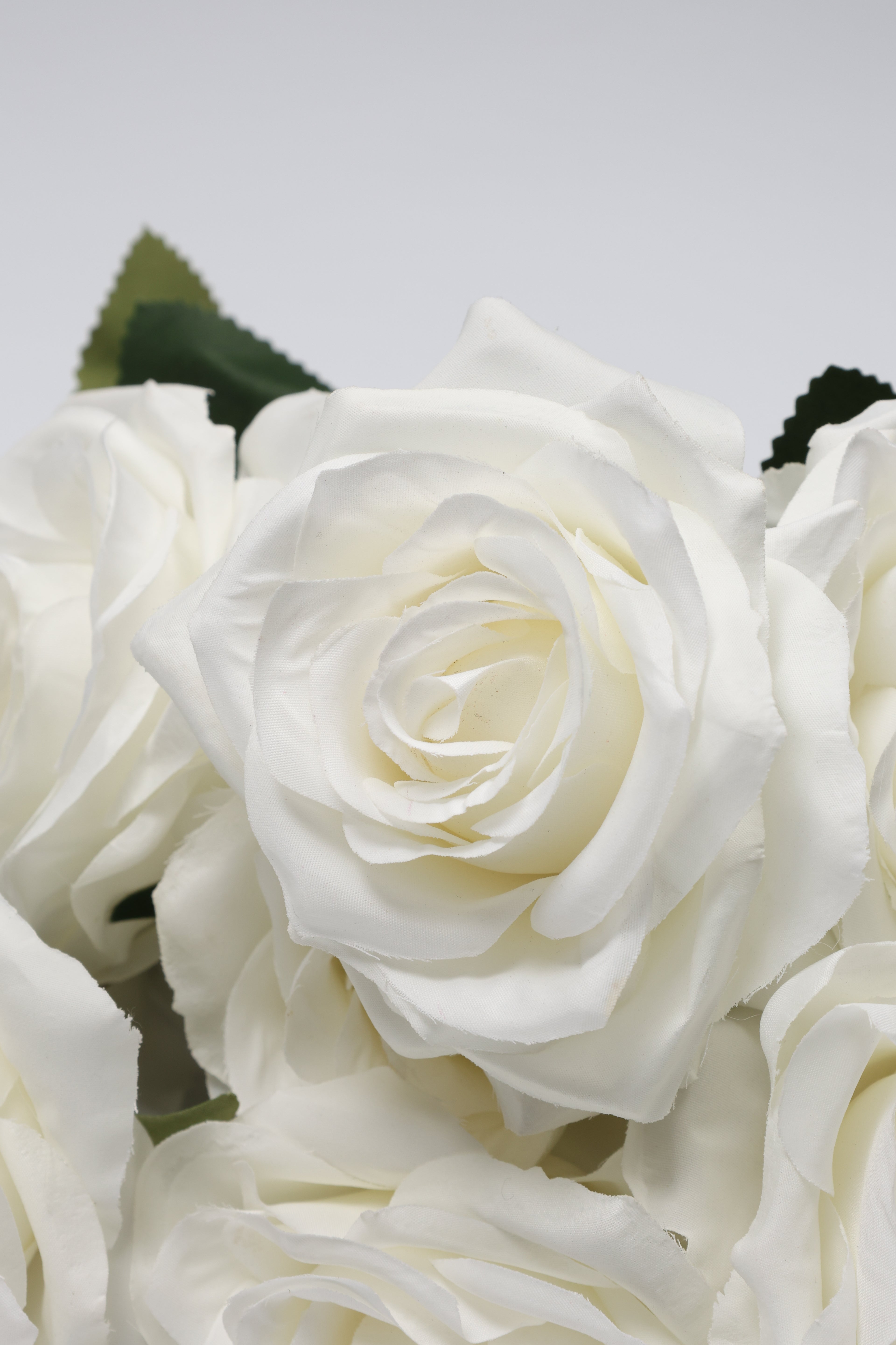 Roses White Coll