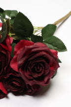Dark Red Coll