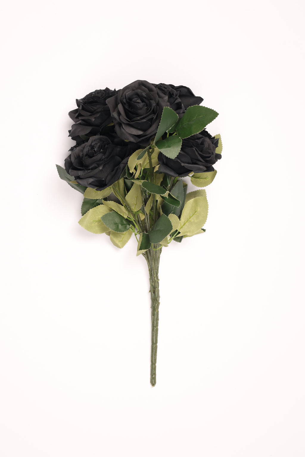 Black Coll