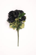 Black Coll