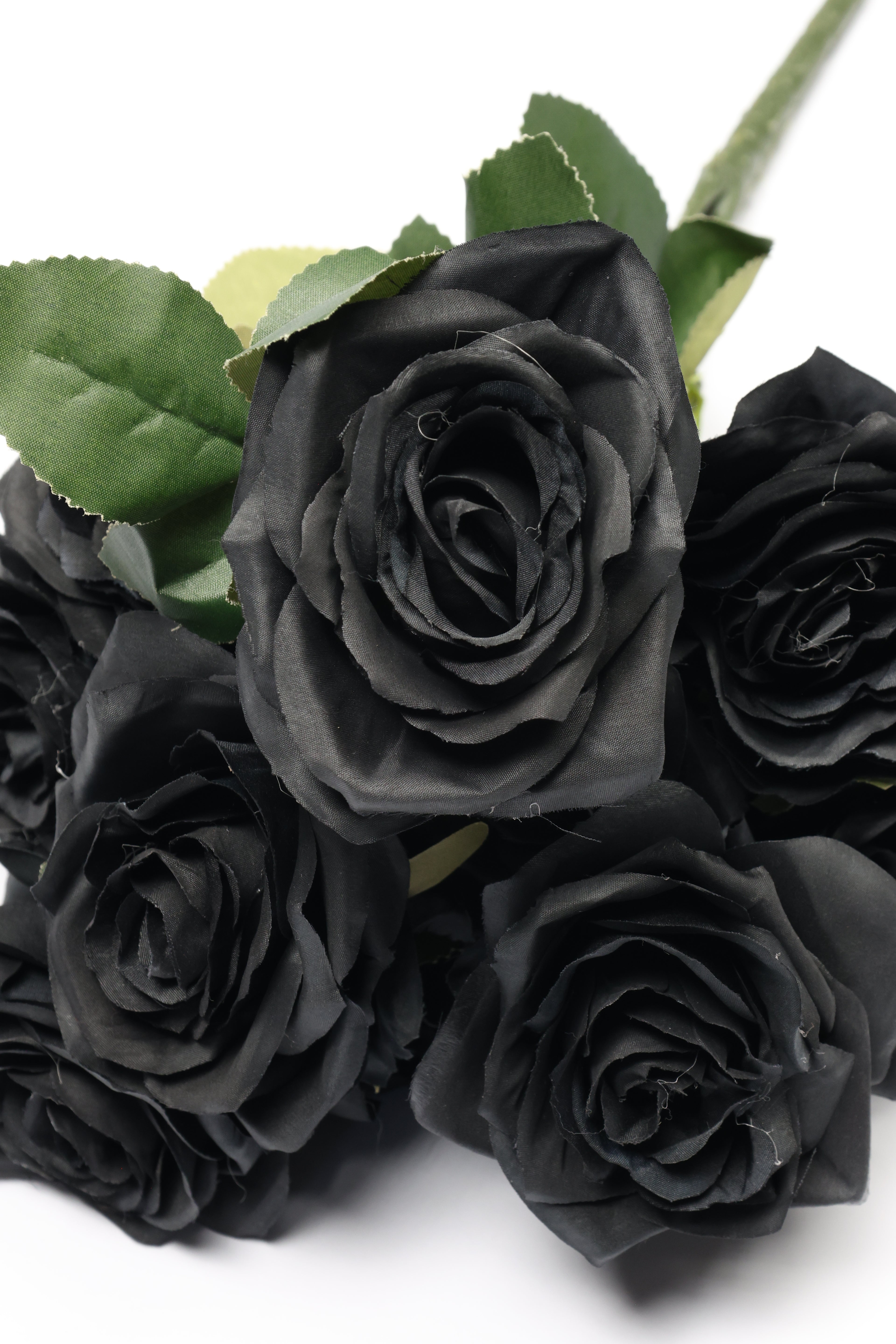Black Coll