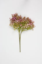 Gypsophila - Pink