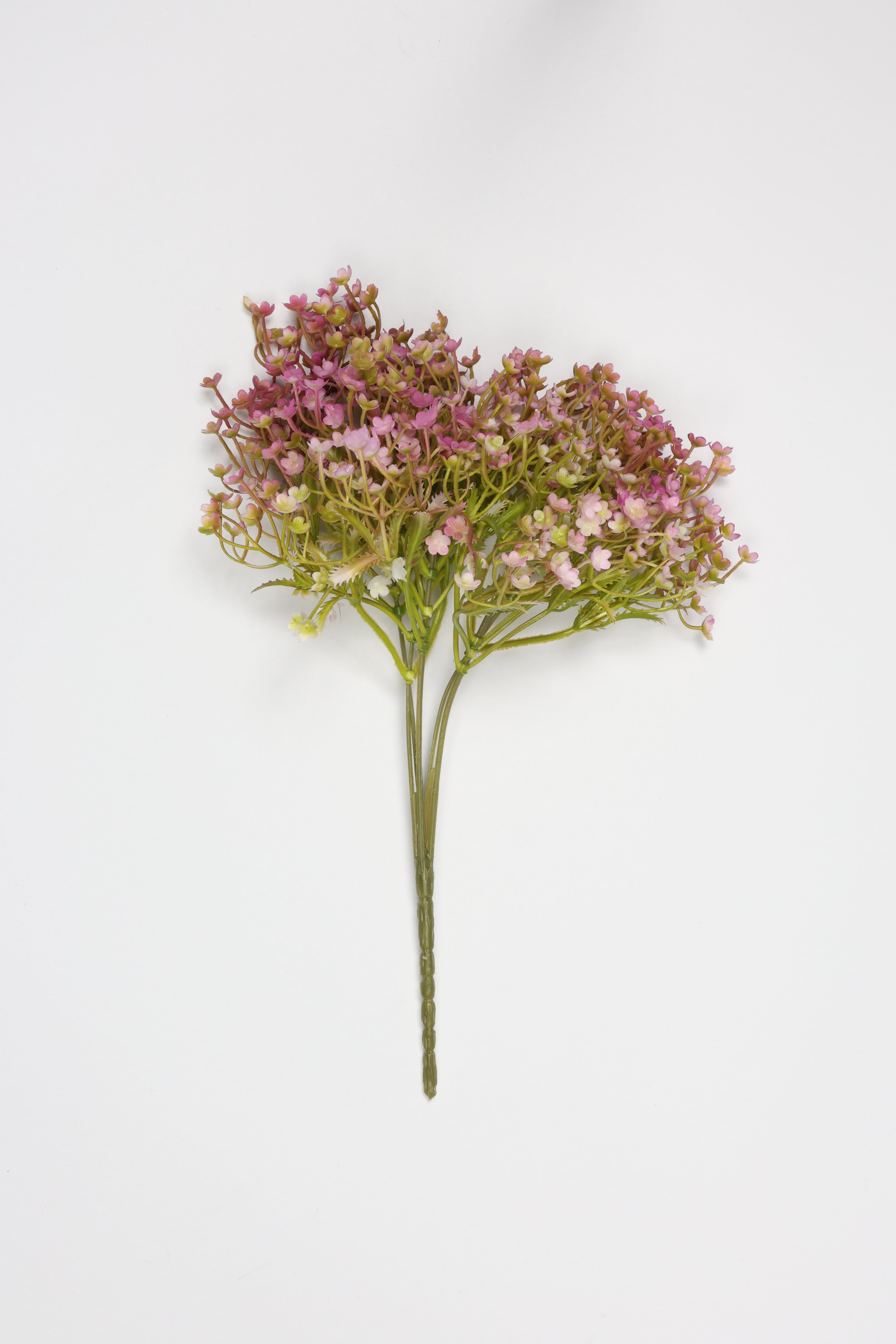 Gypsophila - Pink