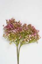 Gypsophila - Pink