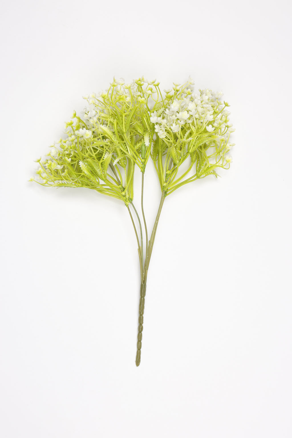Gypsophila - White