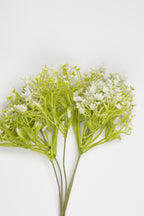 Gypsophila - White