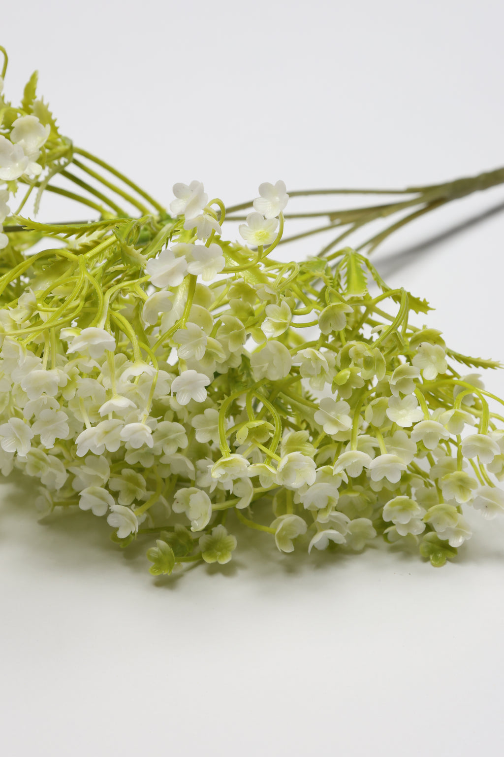 Gypsophila - White