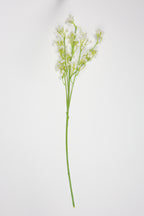 Gypsophila - White*Green