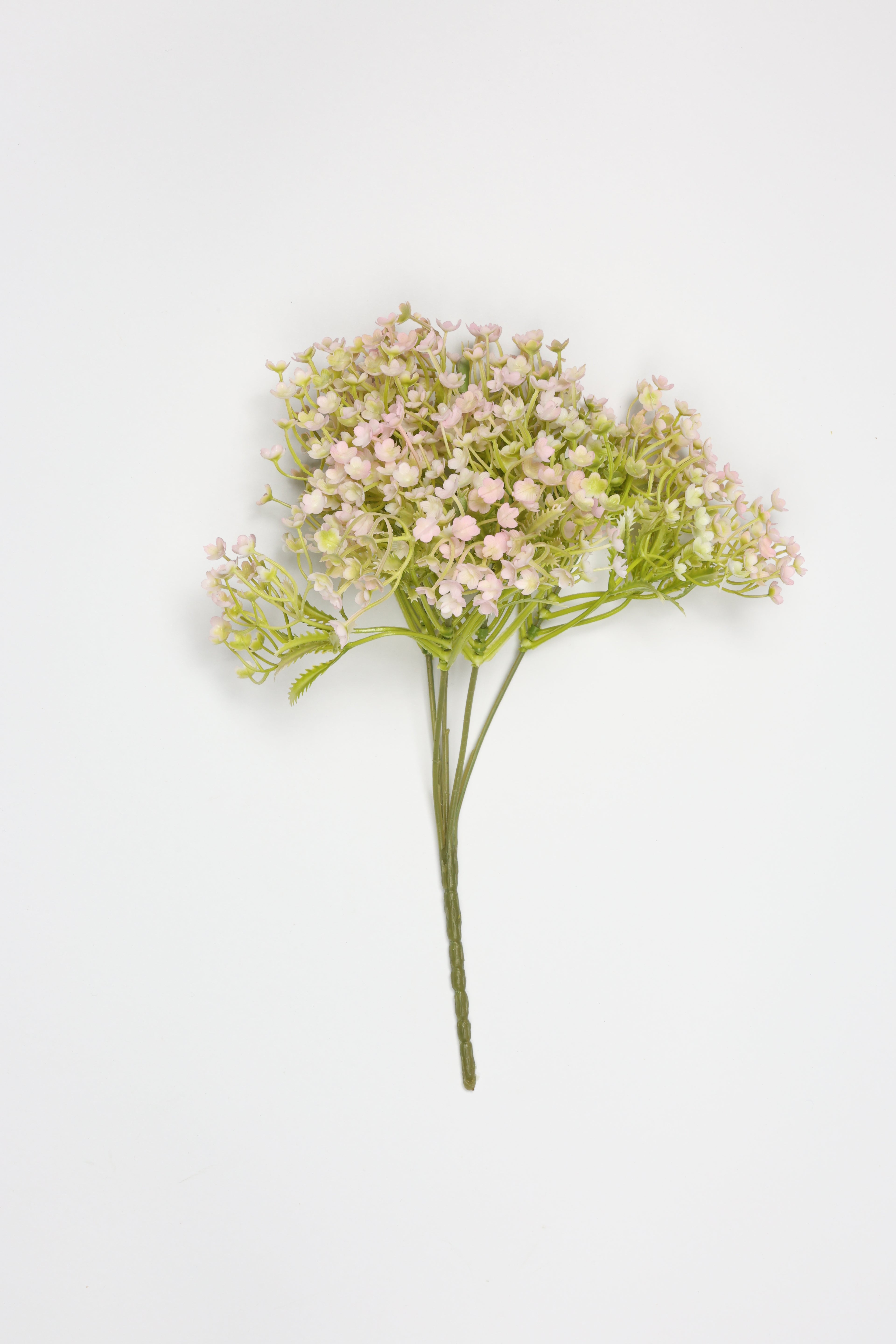 Gypsophila - White Purple