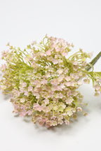 Gypsophila - White Purple