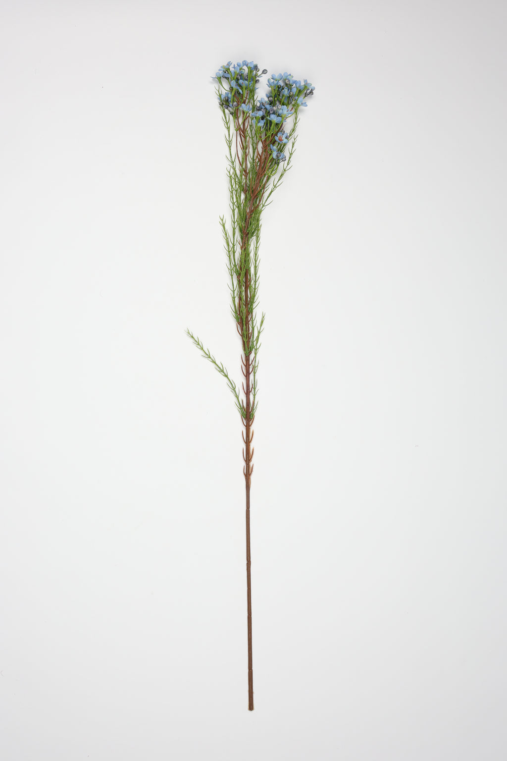 Tamarisk-Blue