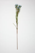 Tamarisk-Blue