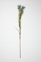 Tamarisk-Blue