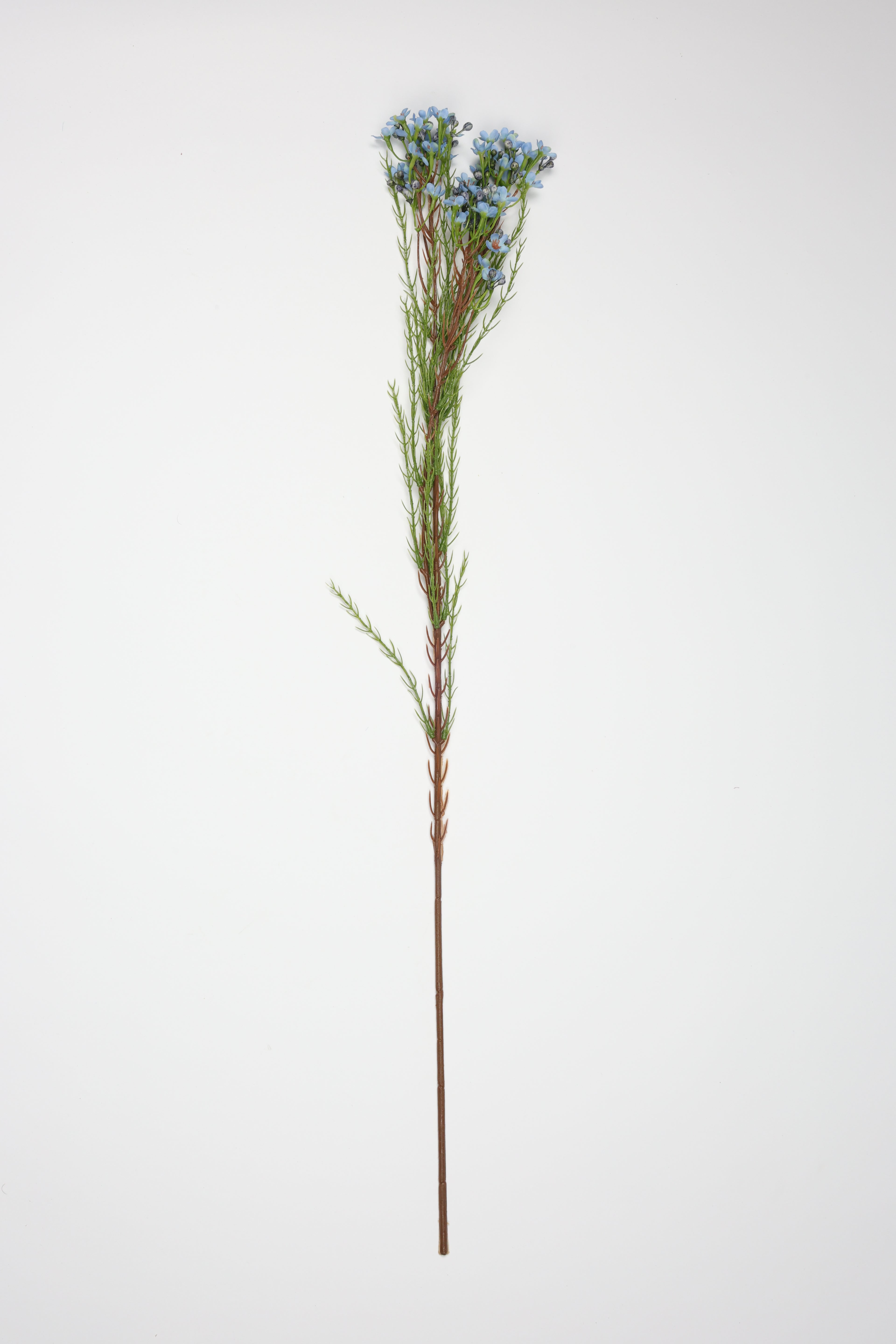 Tamarisk-Blue