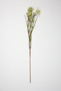 Tamarisk- Off White