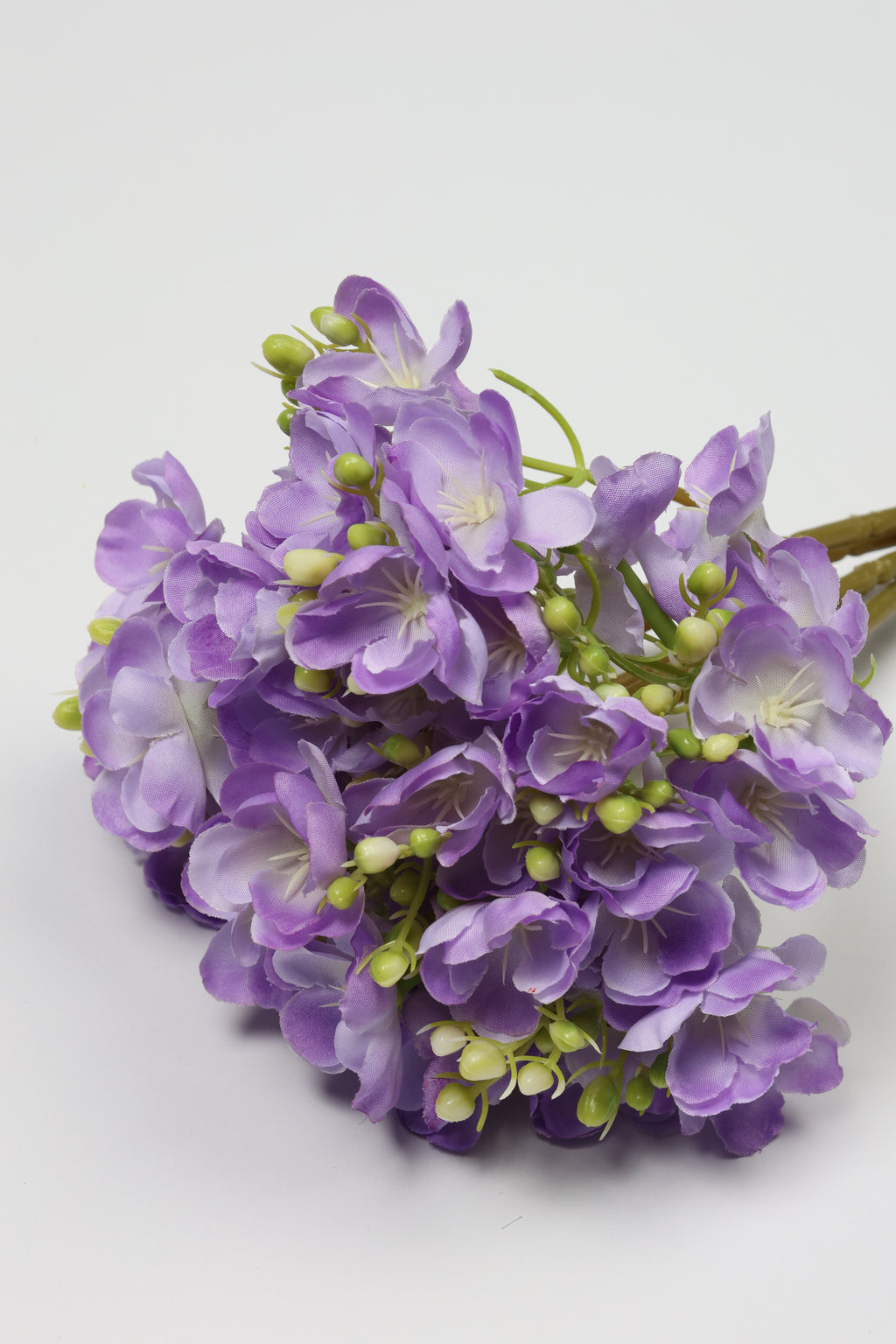 Oxalis - W Purple - One, Coll