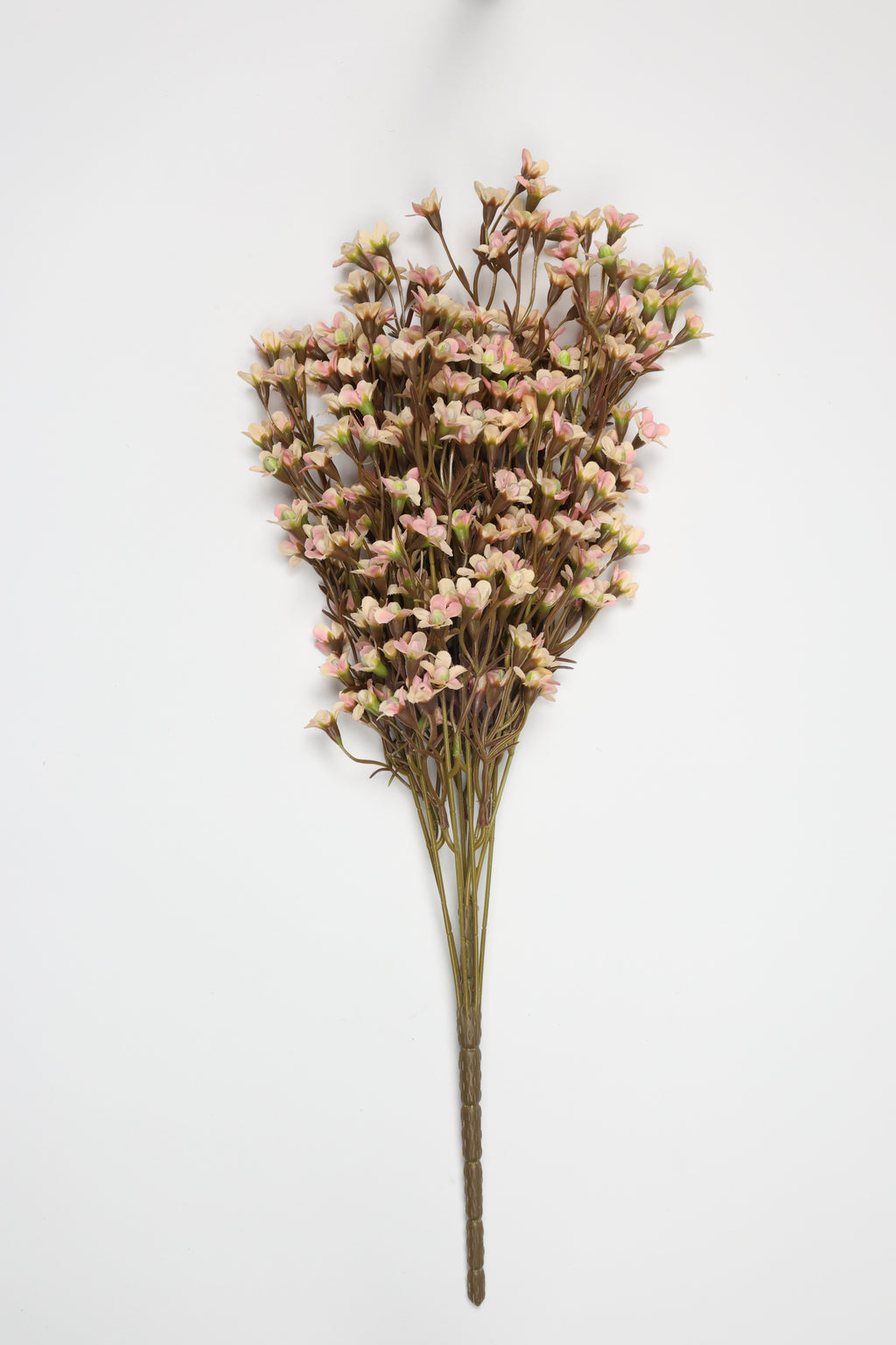 Statice- W Pink
