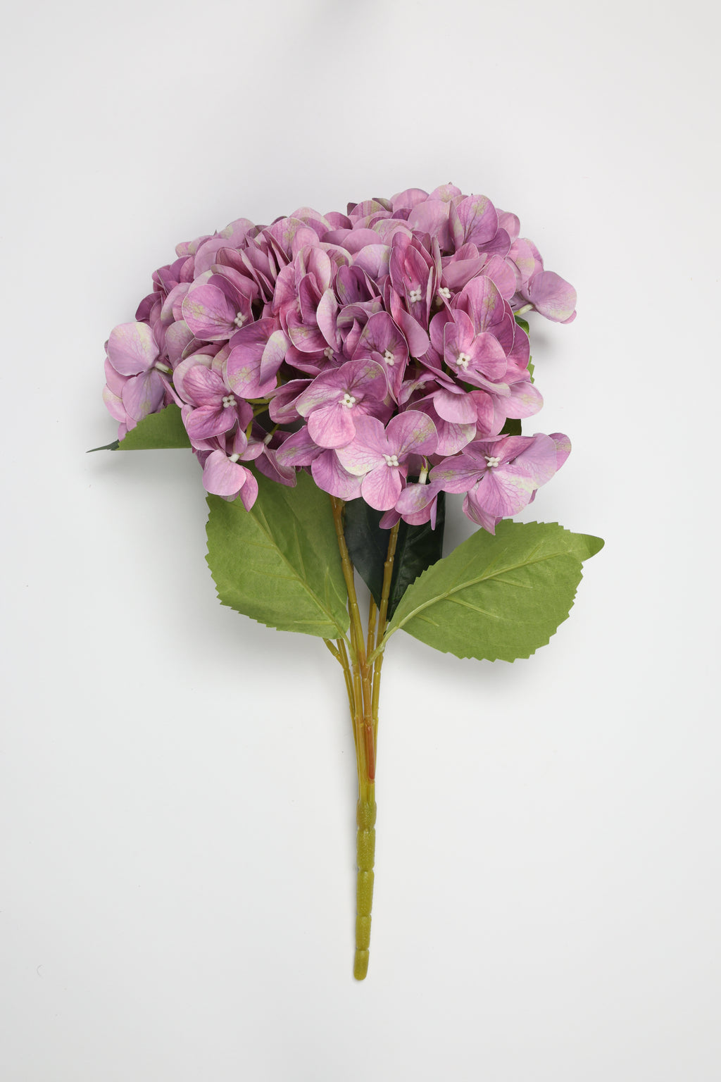 Hydrangea- Purple