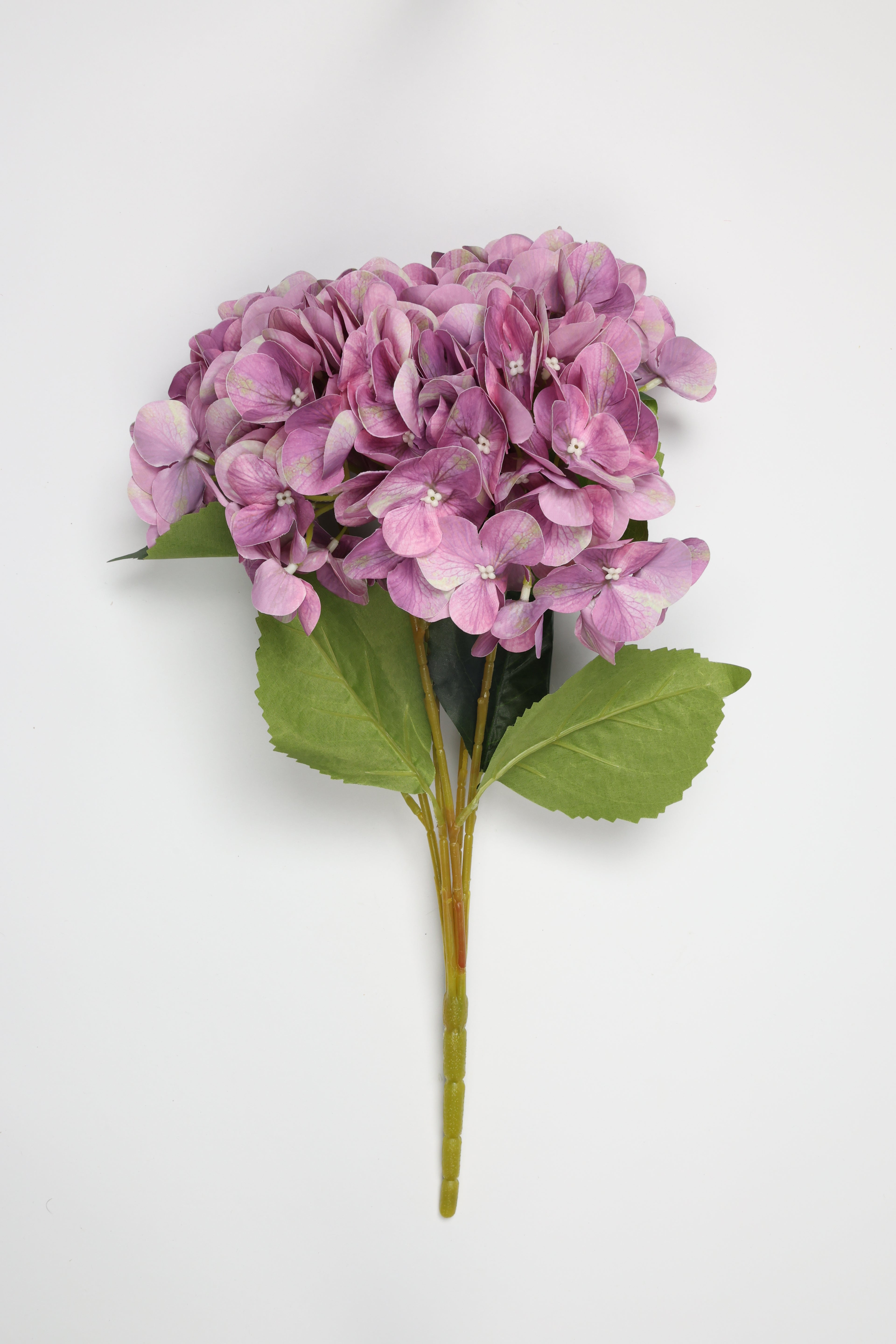 Hydrangea- Purple