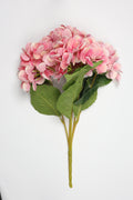 Hydrangea- Pink