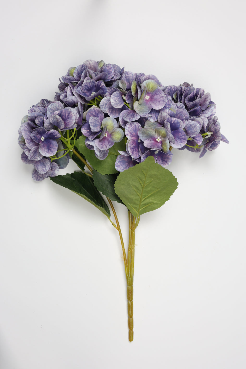 Hydrangea - Purple-White