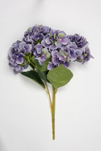 Hydrangea - Purple-White
