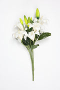 Lilium- White