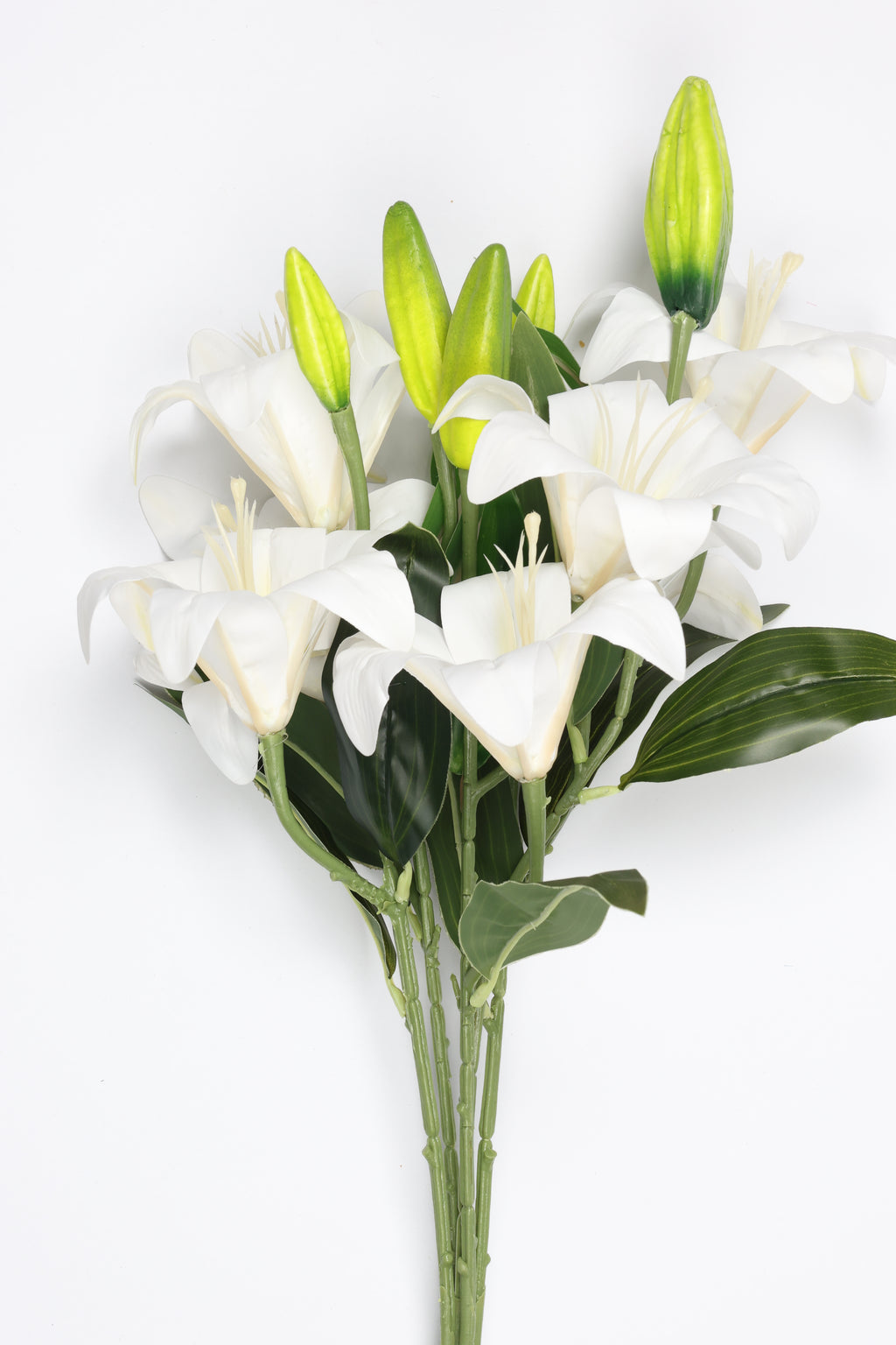 Lilium- White