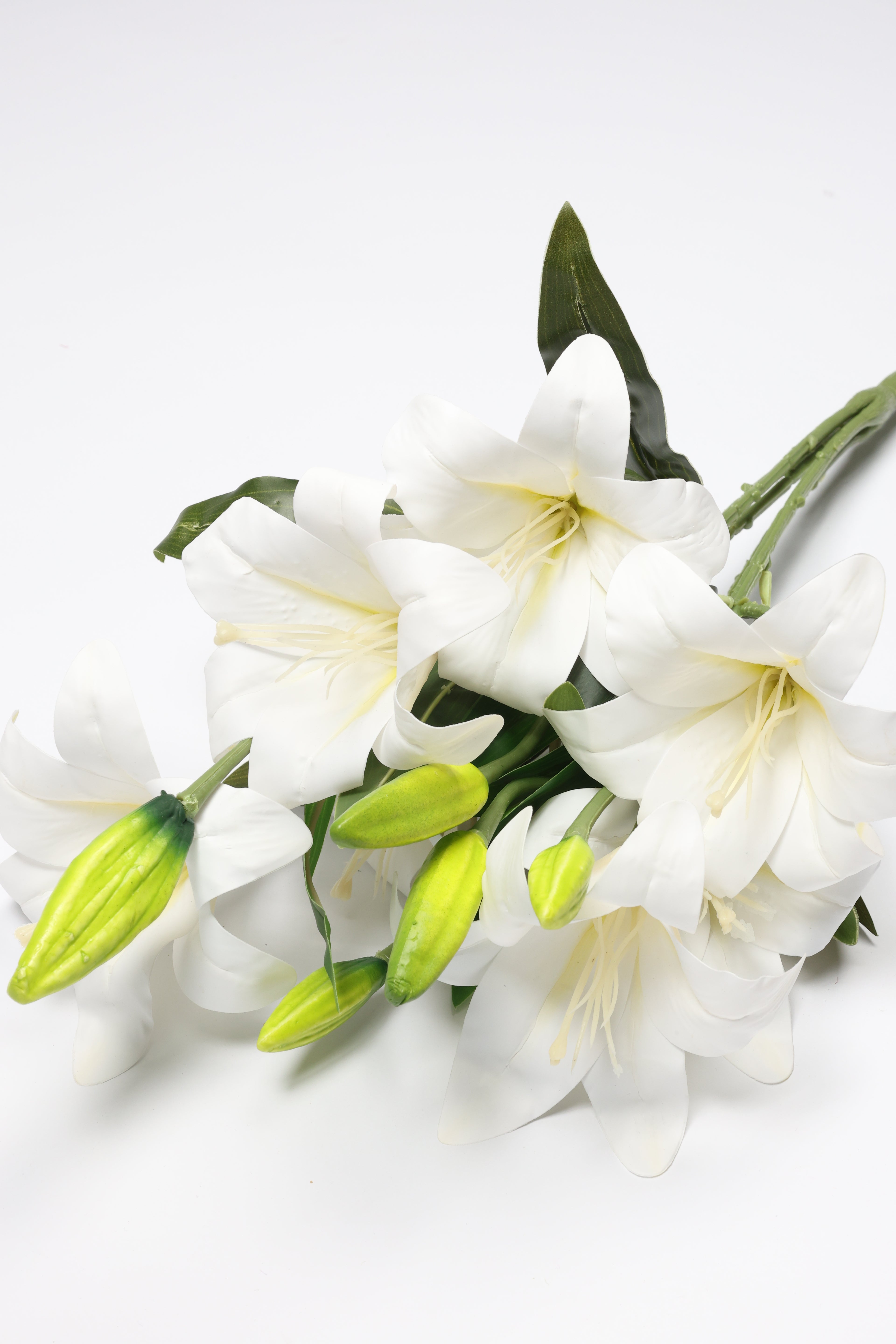 Lilium- White