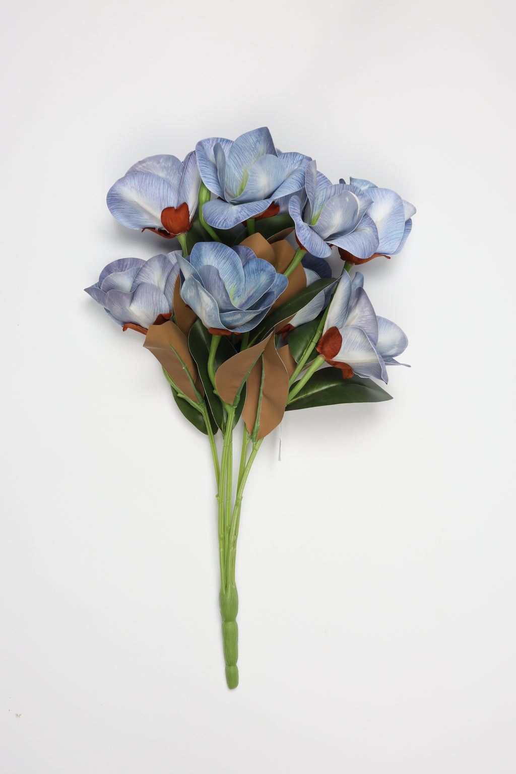 Magnolia - Blue