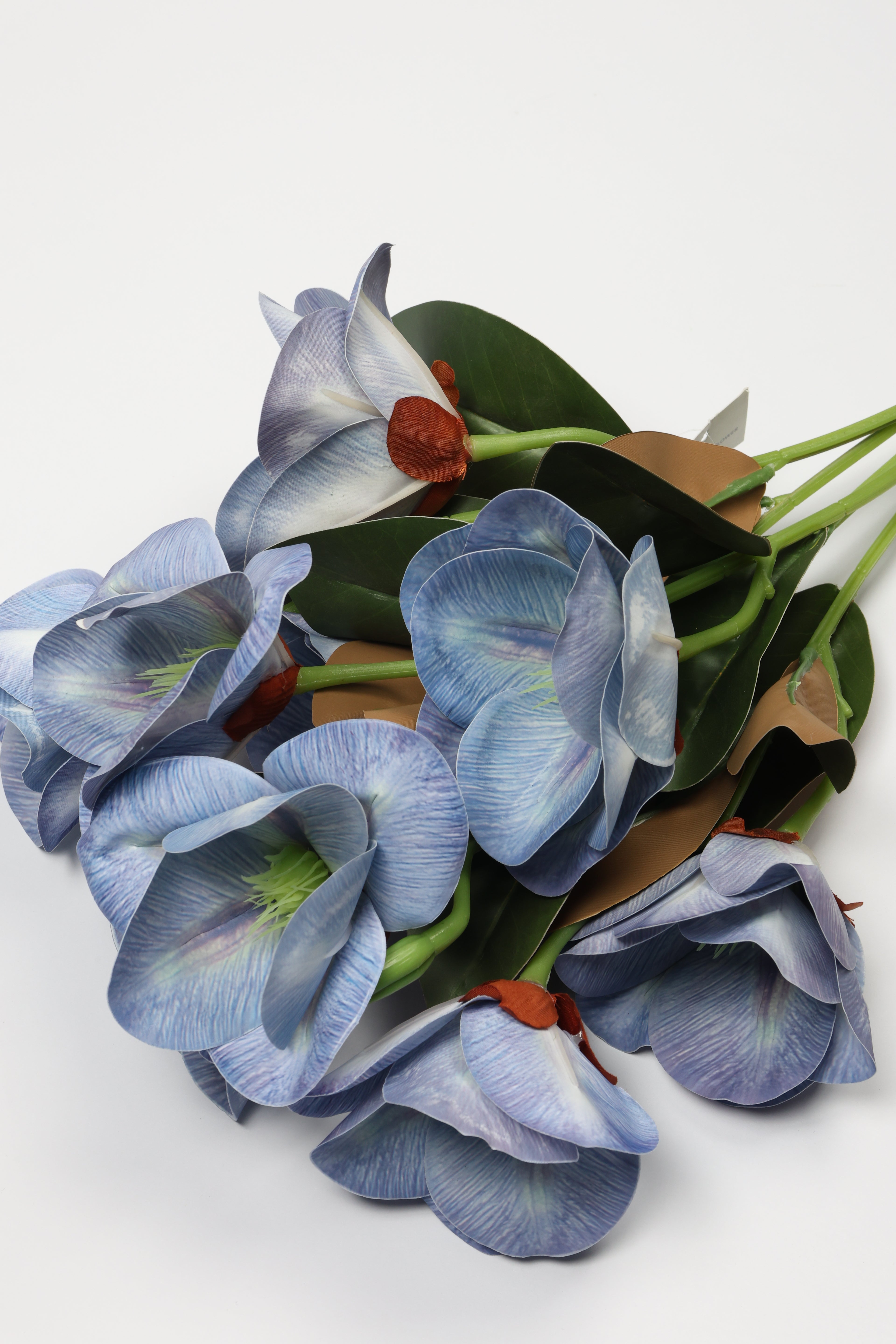 Magnolia - Blue
