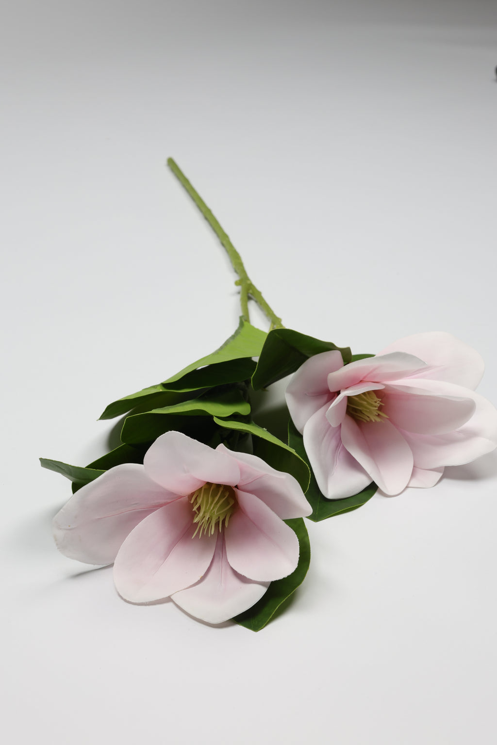 Magnolia - W Pink 2 Roses